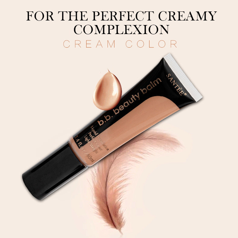 Long-Lasting Moisturizing Powder Concealer Foundation Makeup