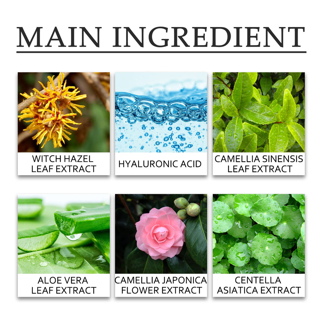 Green Tea Moisturizing Toner for Clear and Fresh Skin