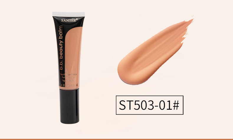 Long-Lasting Moisturizing Powder Concealer Foundation Makeup