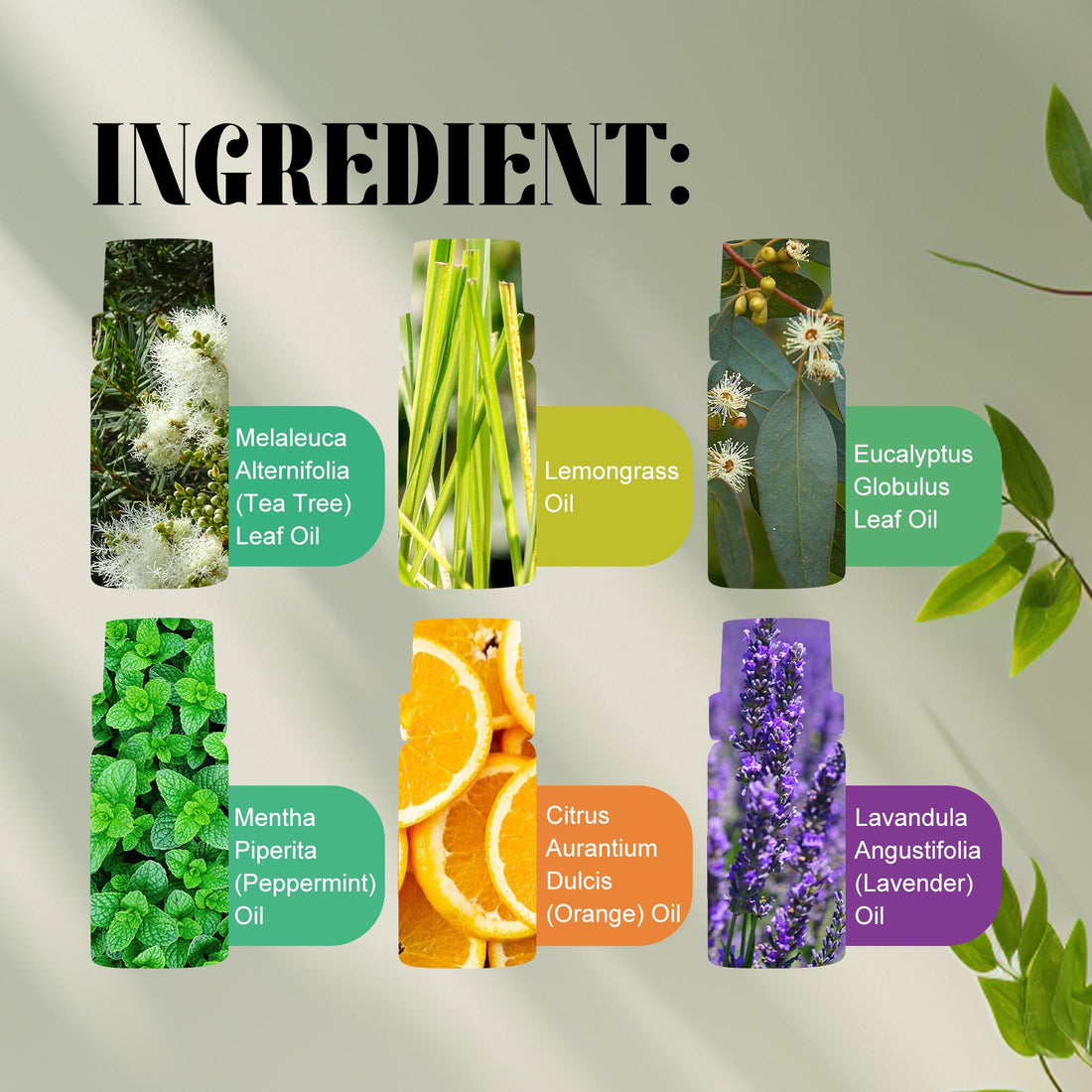 Hydrating Essential Oil Set for Relaxation and Skin Care