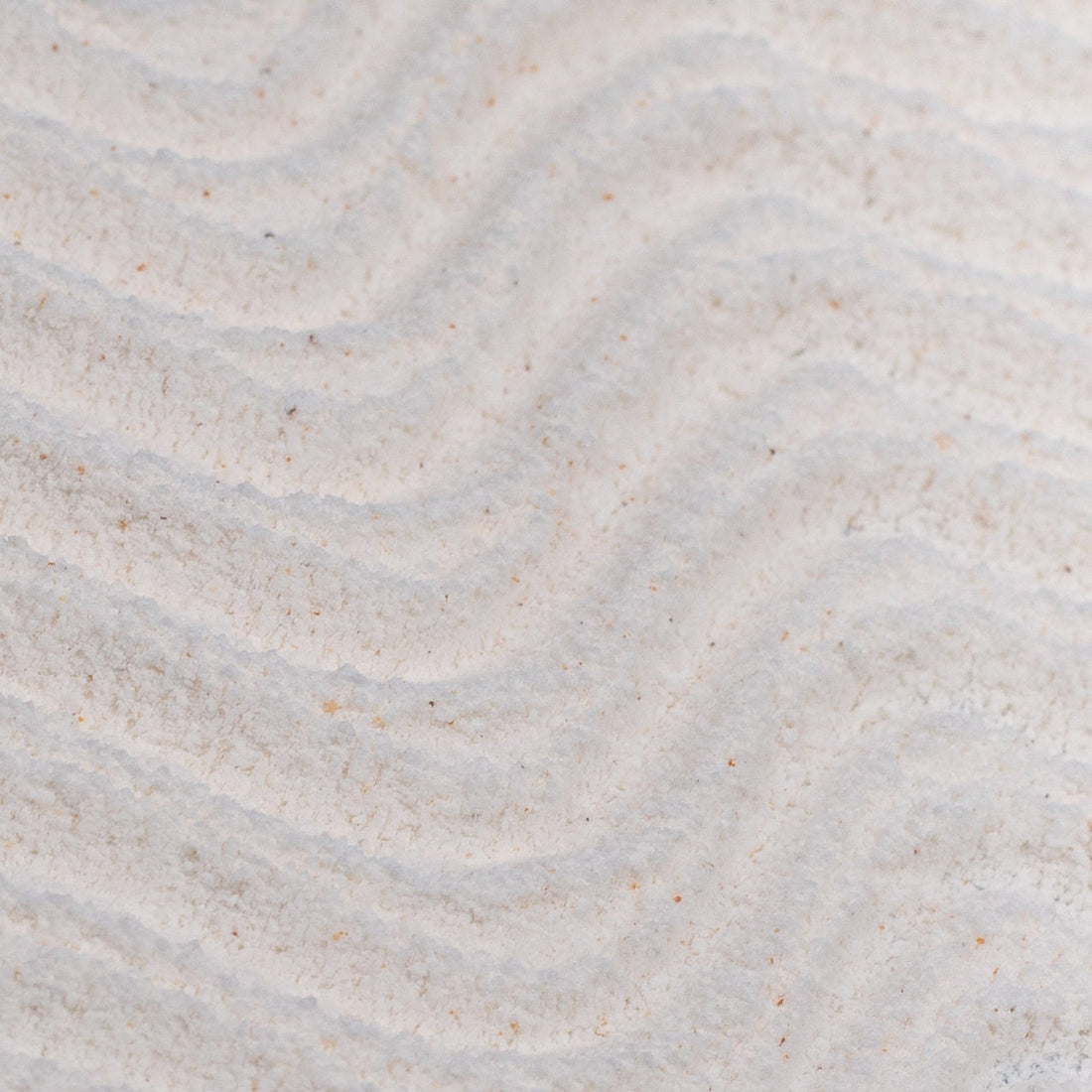 Powder to Foam Face Wash with Willow Bark + Papaya Enzymes